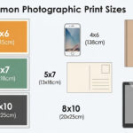Illustrative chart of standard photo sizes compared to common items for easy reference