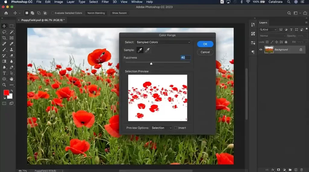 Color Range dialog box sampling red color