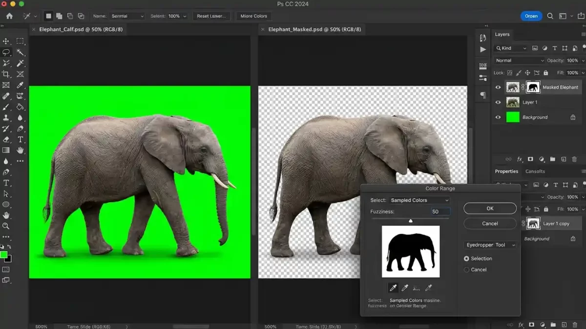 Photoshop Color Range tool interface removing green background from a photo