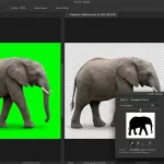 Photoshop Color Range tool interface removing green background from a photo