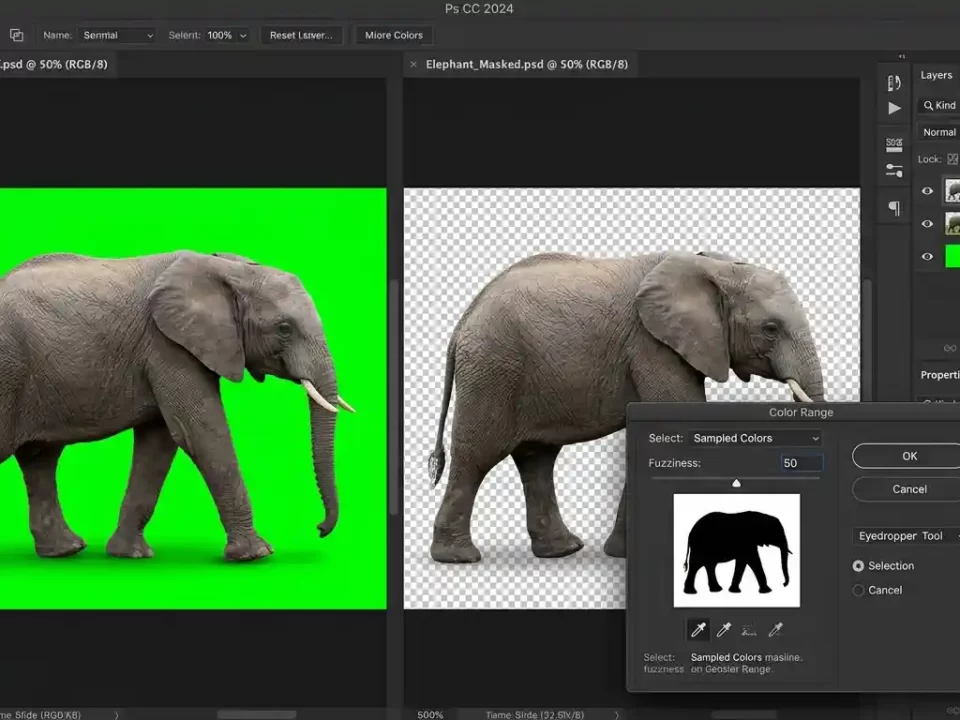 Photoshop Color Range tool interface removing green background from a photo