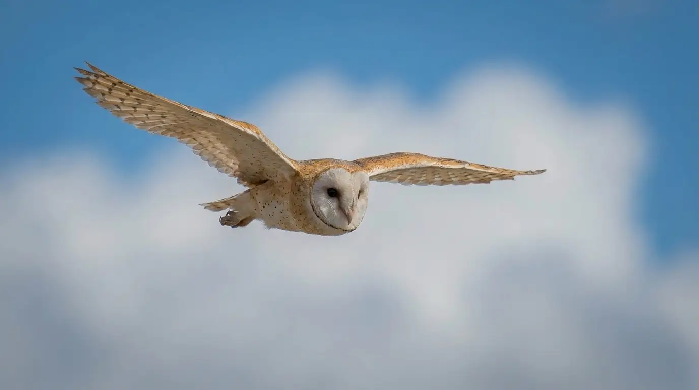 Nikon D4S capturing wildlife photography