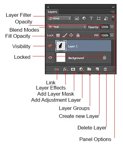 Photoshop Layers panel with transparent layer thumbnail
