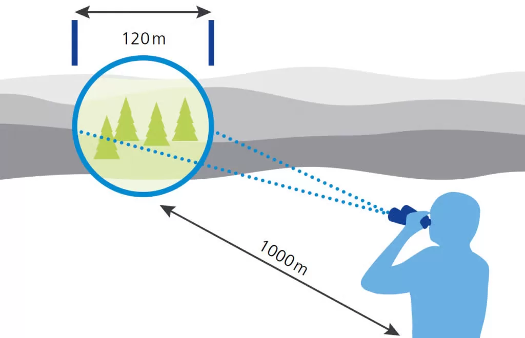 Binocular field-of-view diagram explaining angular and linear FOV