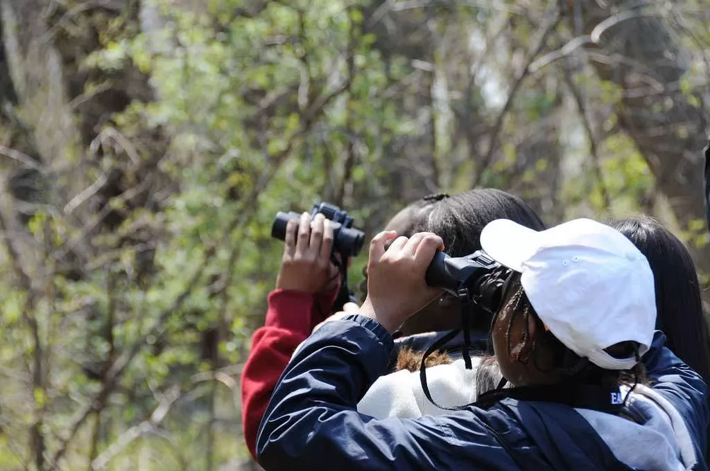 Children using compact binoculars outdoors