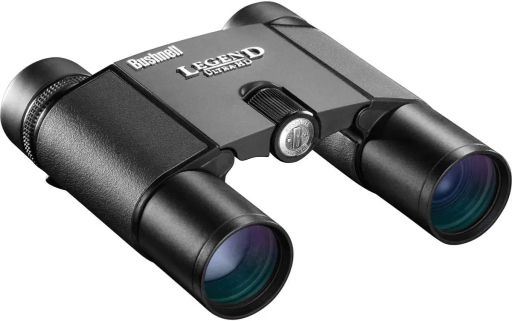 Folding roof-prism compact binoculars in black housing