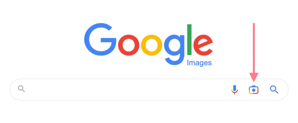 Google Lens offers Google reverse image search