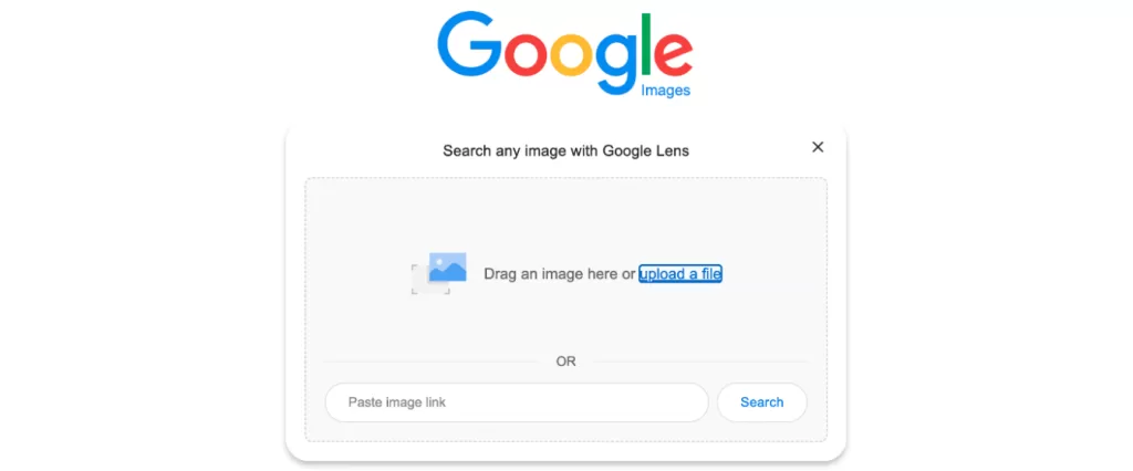 Google reverse image search