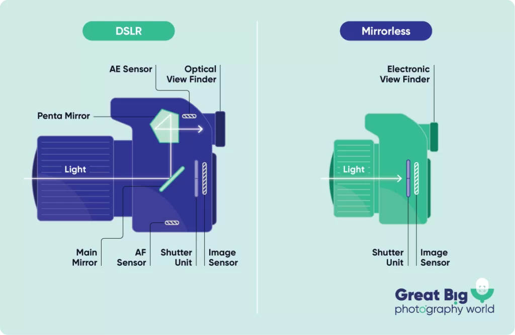 DSLR and mirrorless cameras side by side on a neutral background