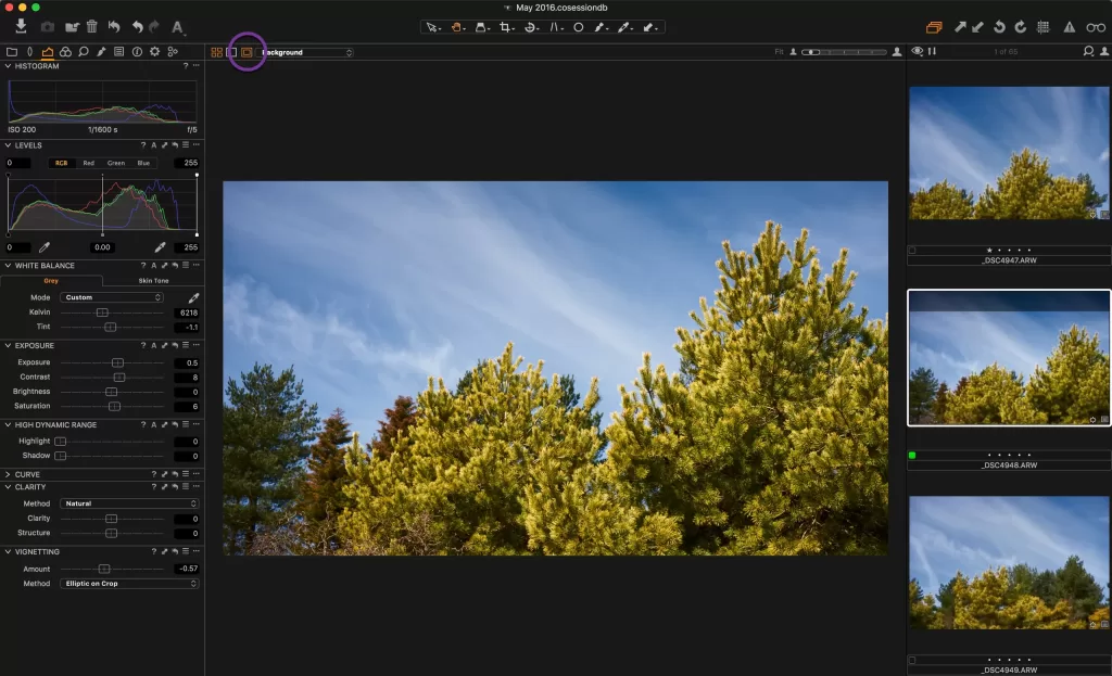Capture One Pro editing workspace with color adjustment panels