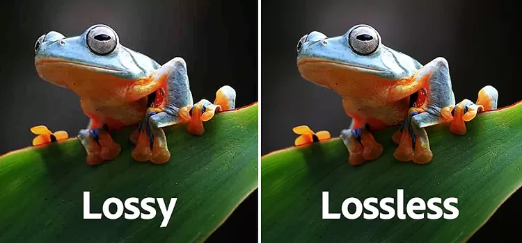 Lossy vs lossless image compression visual difference