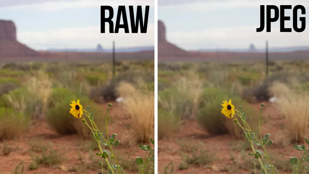 RAW vs JPEG comparison