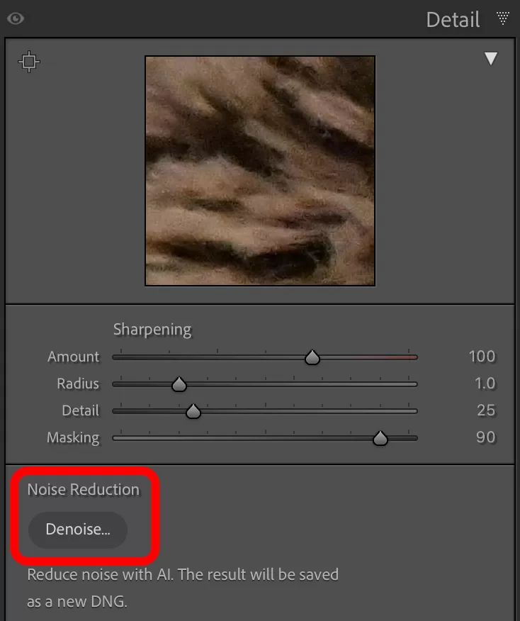 Lightroom Classic Denoise panel screenshot with amount slider