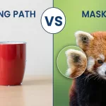 Clipping Path vs Image Masking: When to Use Which
