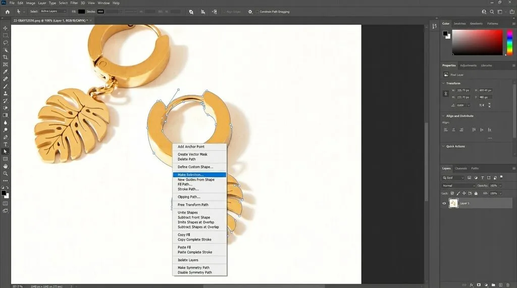 Jewelry clipping path manual vector outline