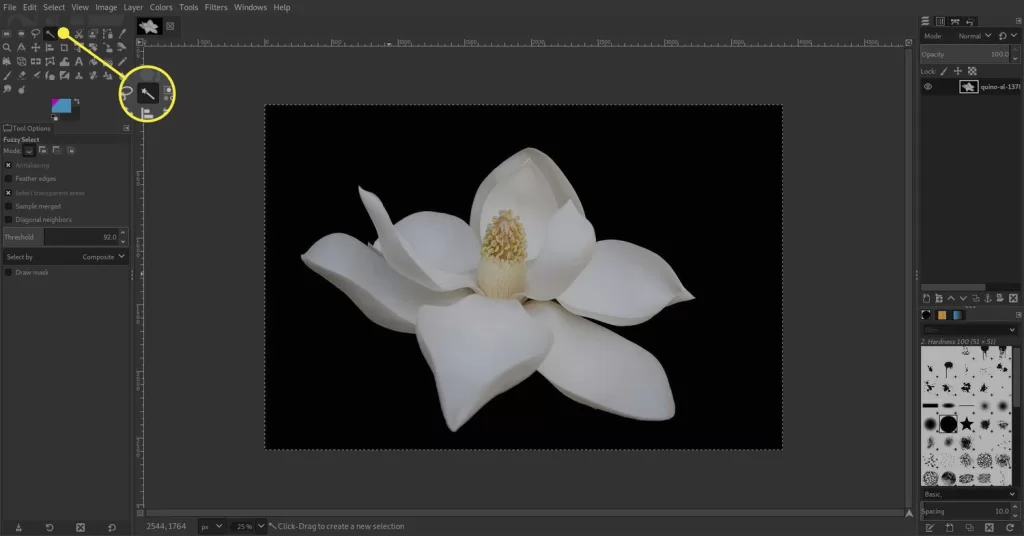 GIMP fuzzy select tool removing solid color background
