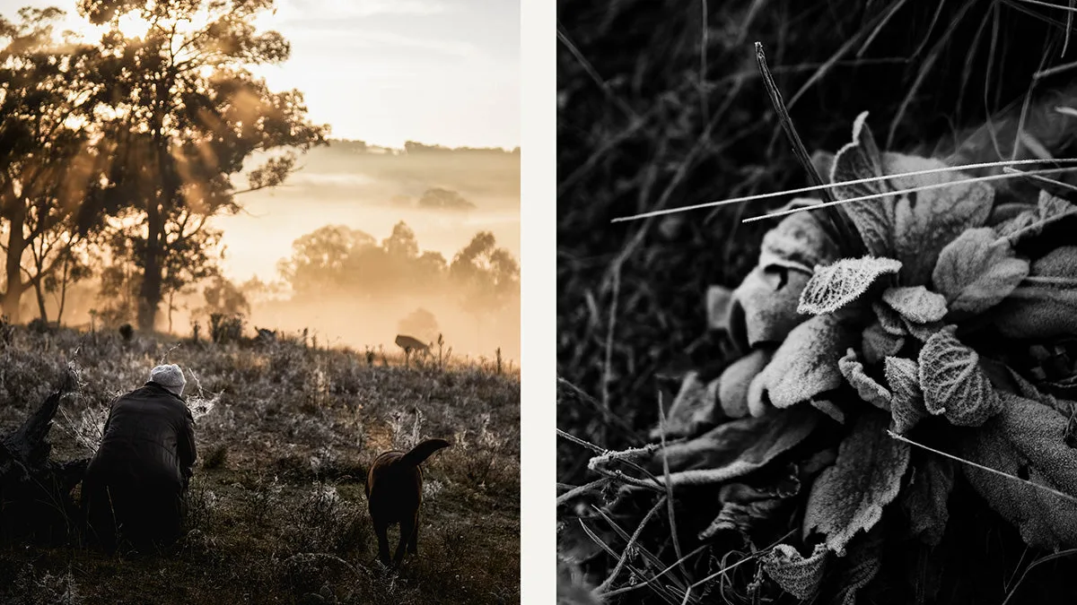 Sepia-toned scene next to a true black and white close-up — both monochrome, only one is B&W