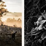 Sepia-toned scene next to a true black and white close-up — both monochrome, only one is B&W